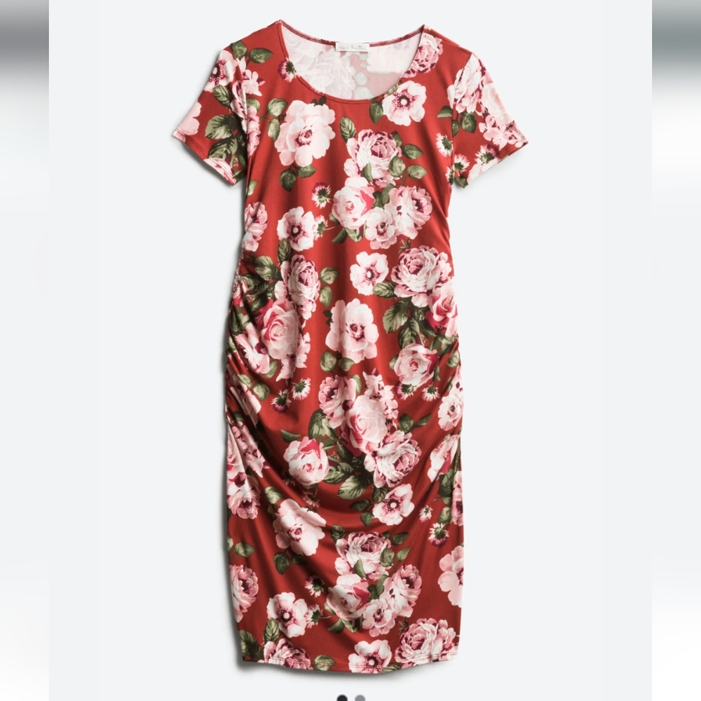 NWT Floral Nine Britton Maternity dress